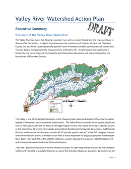 Valley River Watershed Action Plan