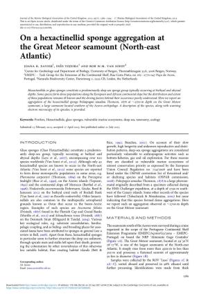 On a Hexactinellid Sponge Aggregation at the Great Meteor Seamount (North-East Atlantic) Joana R