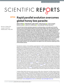 Rapid Parallel Evolution Overcomes Global Honey Bee Parasite