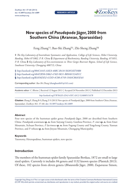 Araneae, Sparassidae) 37 Doi: 10.3897/Zookeys.361.6089 Research Article Launched to Accelerate Biodiversity Research