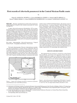 First Records of Atherinella Panamensis in the Central Mexican Pacific Coasts