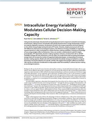 Intracellular Energy Variability Modulates Cellular Decision-Making Capacity Ryan Kerr 1, Sara Jabbari 1 & Iain G
