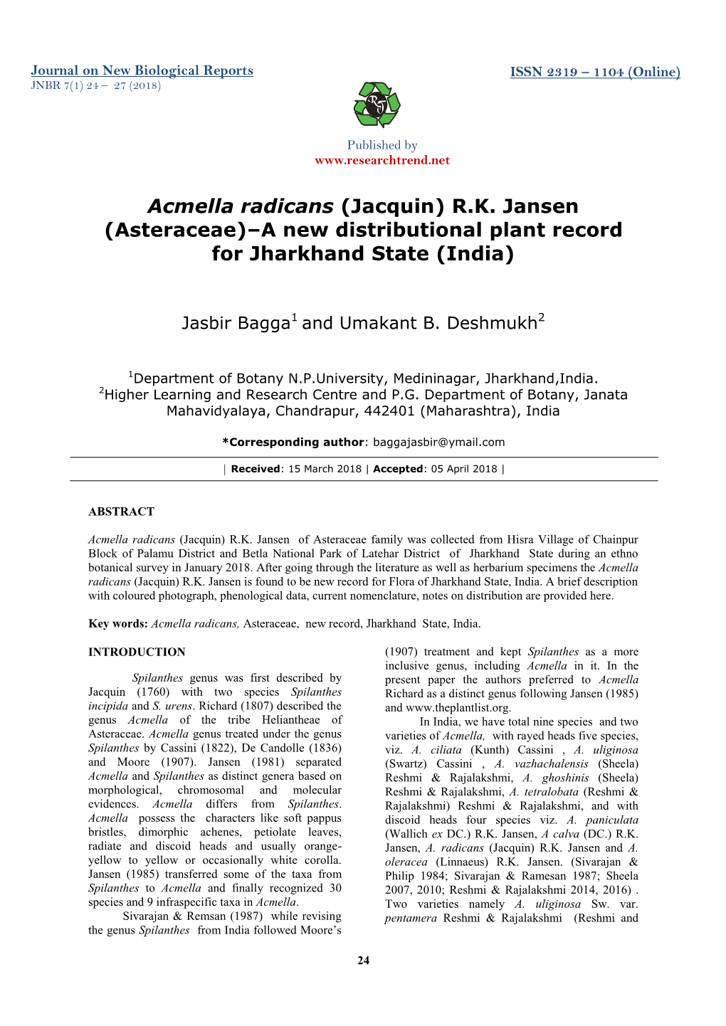 Acmella Radicans (Jacquin) R.K