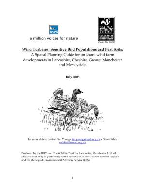 Wind Turbines, Sensitive Bird Populations and Peat Soils
