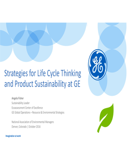 Strategies for Life Cycle Thinking and Product Sustainability at GE