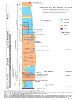 Lomekwi Strata