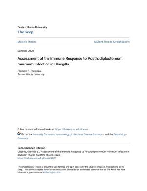 Assessment of the Immune Response to Posthodiplostomum Minimum Infection in Bluegills