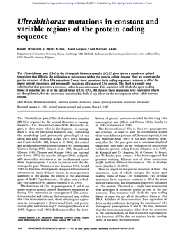 Ultrabithorax Mutations in Constant and Variable Regions of the Protein Coding Sequence