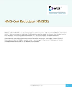 HMG-Coa Reductase (HMGCR)