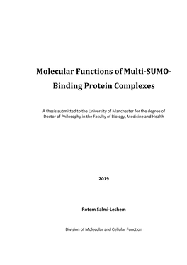 Molecular Functions of Multi-SUMO- Binding Protein Complexes