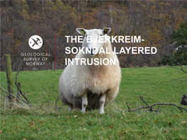 The Bjerkreim- Sokndal Layered Intrusion Apatite Facts