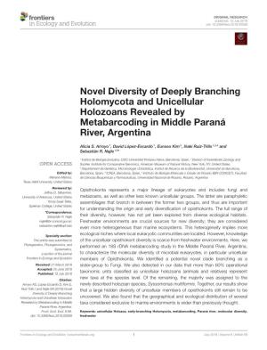 Novel Diversity of Deeply Branching Holomycota and Unicellular Holozoans Revealed by Metabarcoding in Middle Paraná River, Argentina