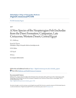 A New Species of the Neopterygian Fish Enchodus from the Duwi Formation, Campanian, Late Cretaceous, Western Desert, Central Egypt W L