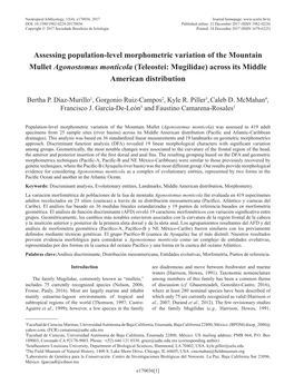 Assessing Population-Level Morphometric Variation of the Mountain Mullet Agonostomus Monticola (Teleostei: Mugilidae) Across Its Middle American Distribution