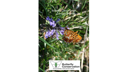 Butterfly Conservation Cumbria Branch Newsletter 34 Spring 2017