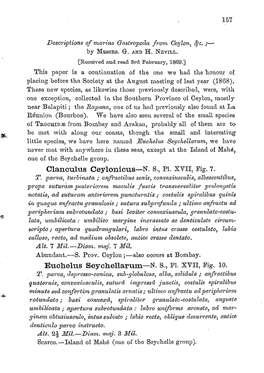 Descriptions of Marine Gastroporla from Ceylon, &C