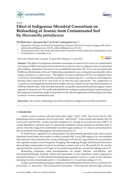 Effect of Indigenous Microbial Consortium on Bioleaching of Arsenic from Contaminated Soil by Shewanella Putrefaciens