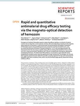 Rapid and Quantitative Antimalarial Drug Efficacy Testing Via the Magneto-Optical Detection of Hemozoin