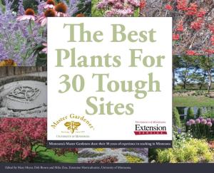Best Plants for 30 Tough Sites