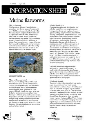 Marine Flatworms