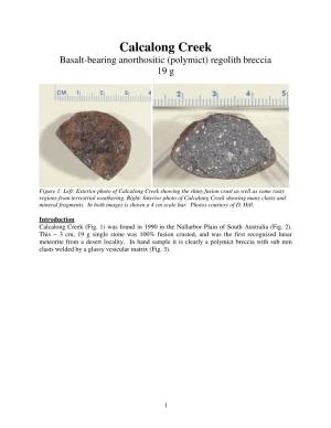 Calcalong Creek Basalt-Bearing Anorthositic (Polymict) Regolith Breccia 19 G