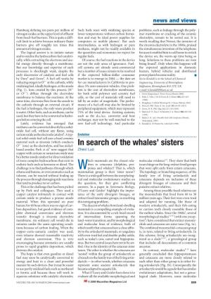 Zhexi Luo: in Search of the Whales' Sisters. Nature Vol