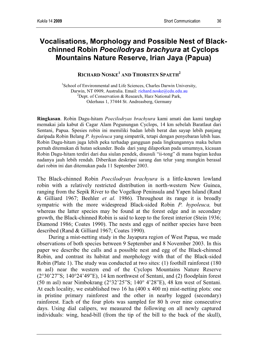 Vocalisations, Morphology and Possible Nest of Black- Chinned Robin Poecilodryas Brachyura at Cyclops Mountains Nature Reserve, Irian Jaya (Papua)