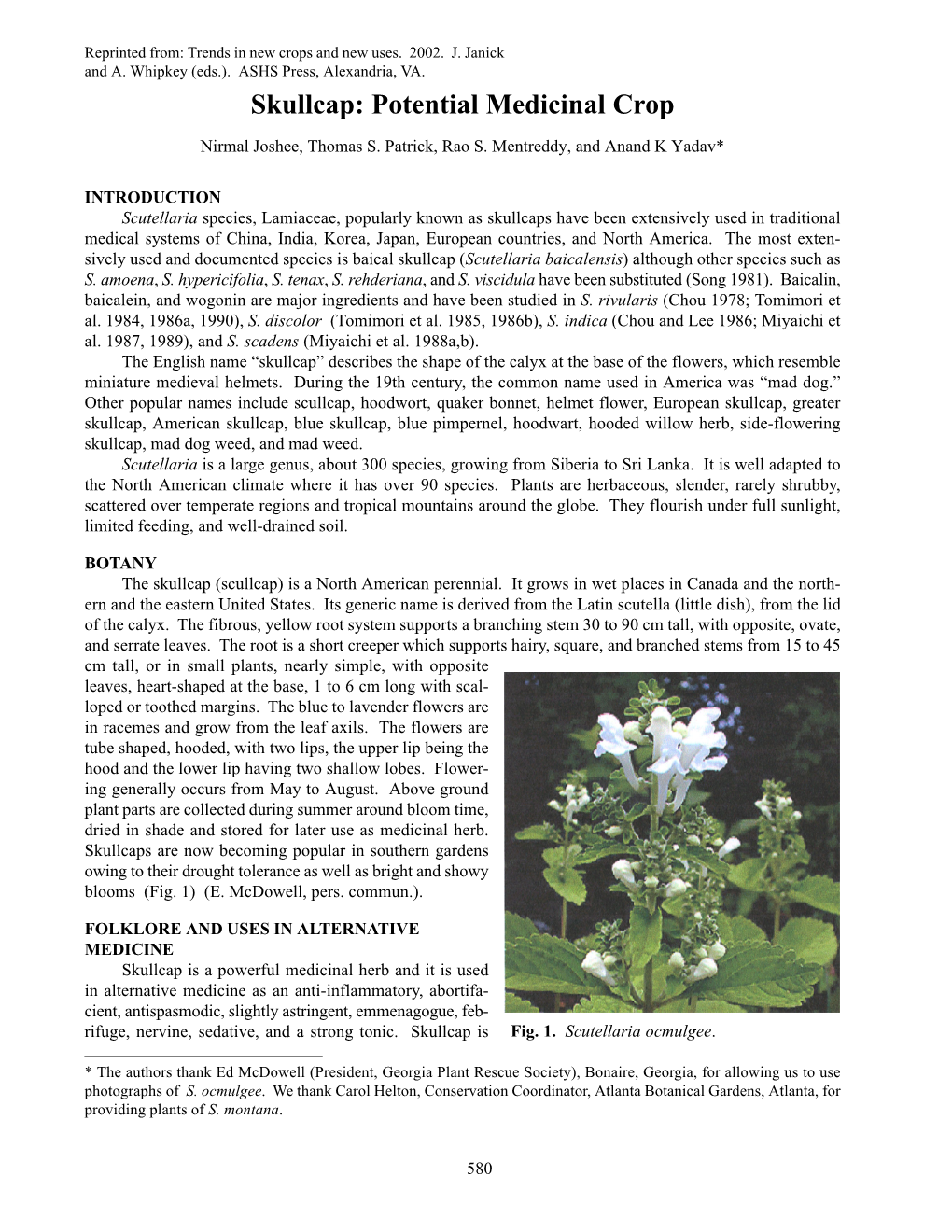 Skullcap: Potential Medicinal Crop