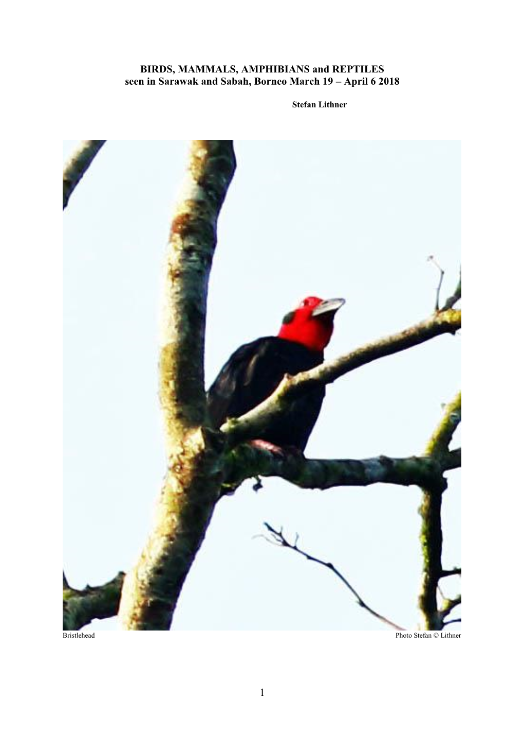 1 BIRDS, MAMMALS, AMPHIBIANS and REPTILES Seen in Sarawak