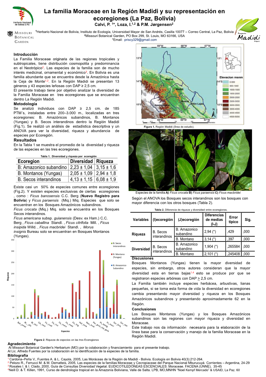 La Familia Moraceae En La Región Madidi Y Su Representación En Ecoregiones (La Paz, Bolivia) Calvi, P