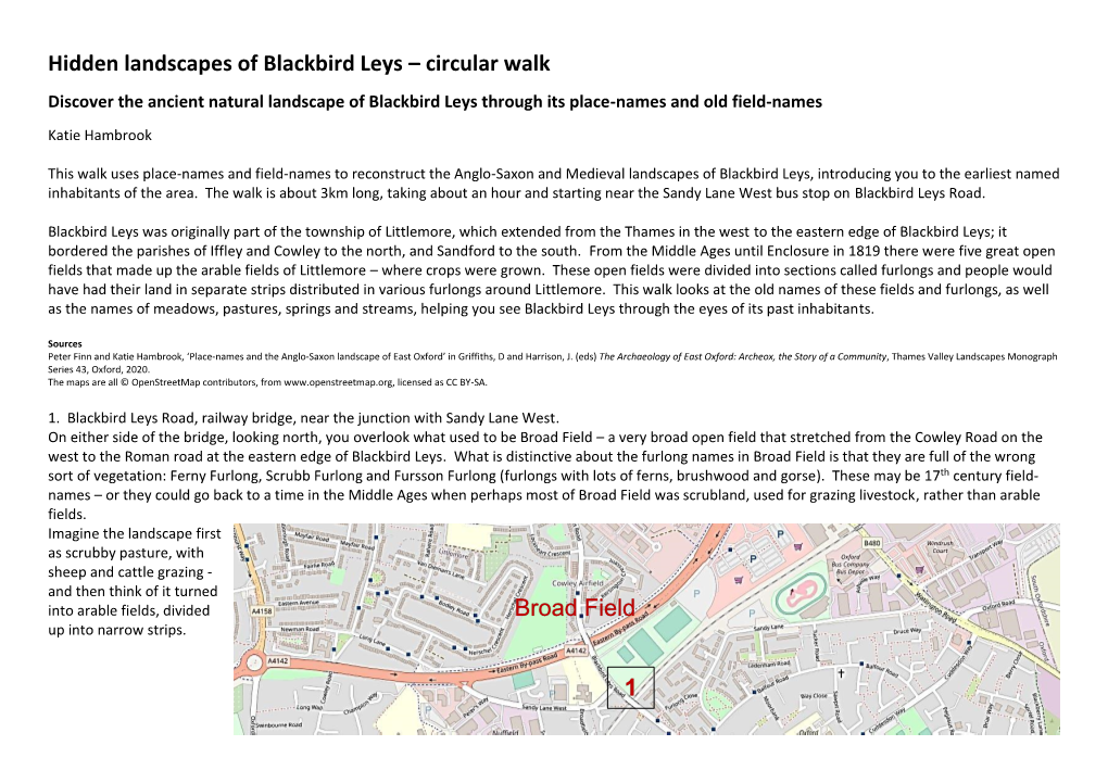 Blackbird Leys Field-Names