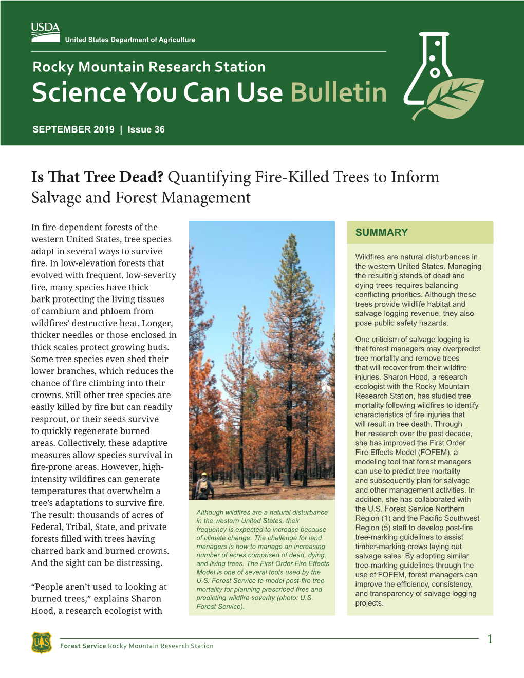 S That Tree Dead? Quantifying Fire-Killed Trees to Inform Salvage and Forest Management