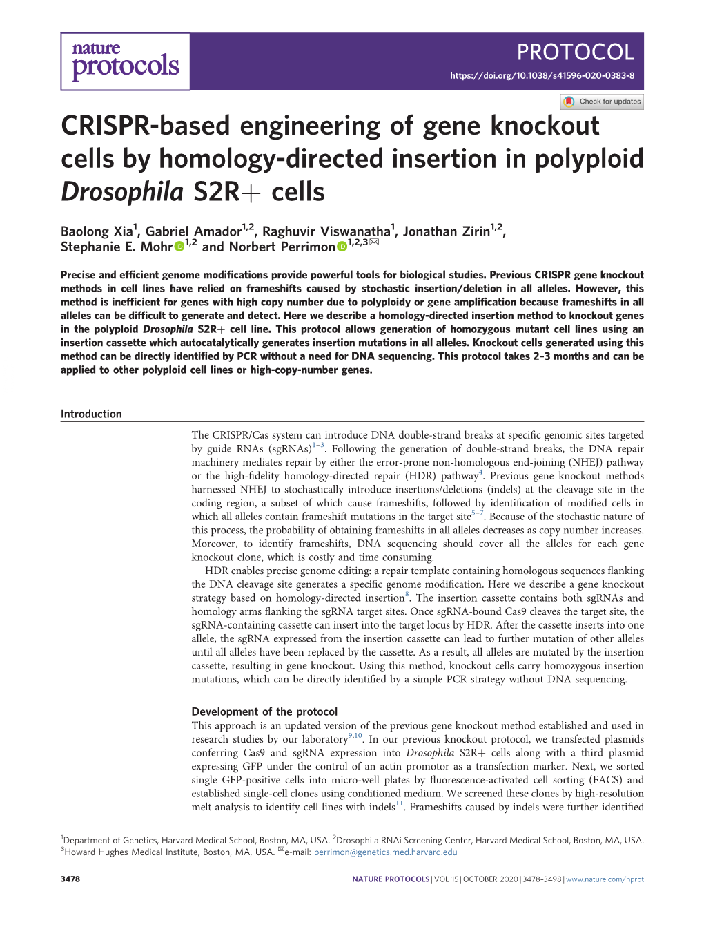 CRISPR-Based Engineering of Gene Knockout Cells by Homology-Directed Insertion in Polyploid Drosophila S2R+ Cells