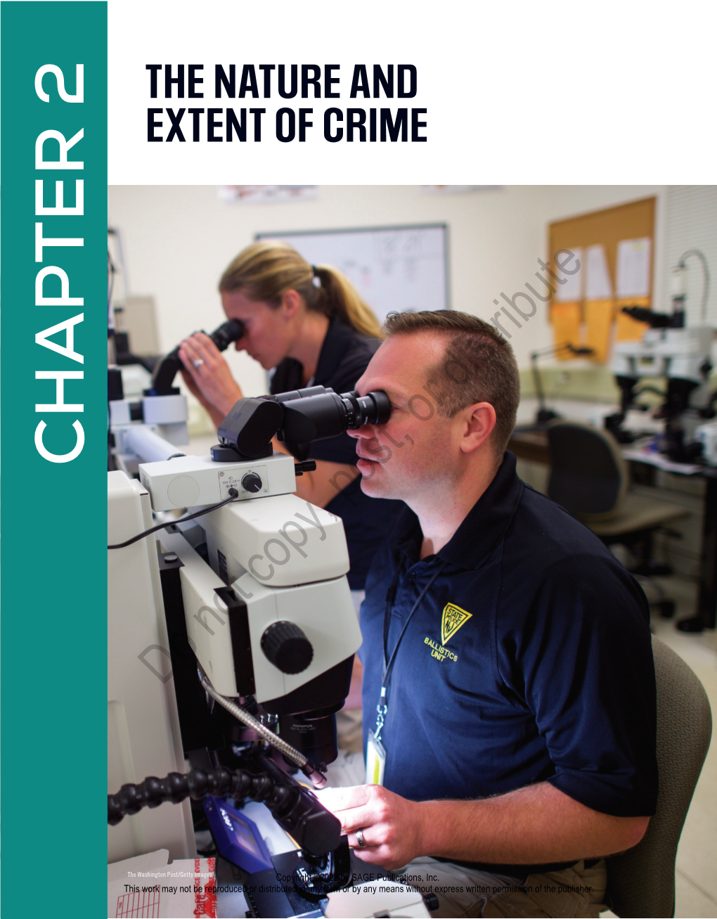 Chapter 2. the Nature and Extent of Crime