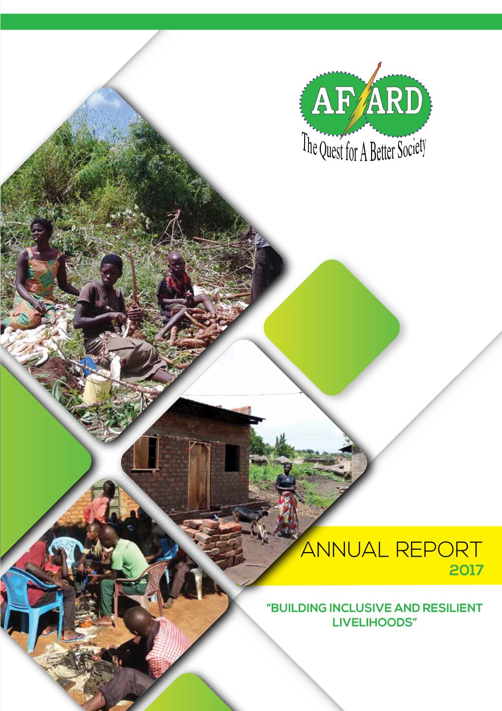 Annual Report 2017