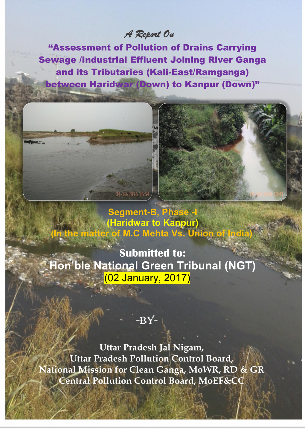 A Report on Submitted To: Hon'ble National Green Tribunal (NGT) -By