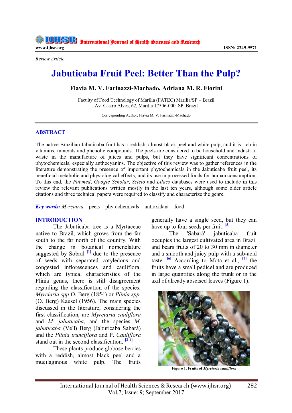 Jabuticaba Fruit Peel: Better Than the Pulp?