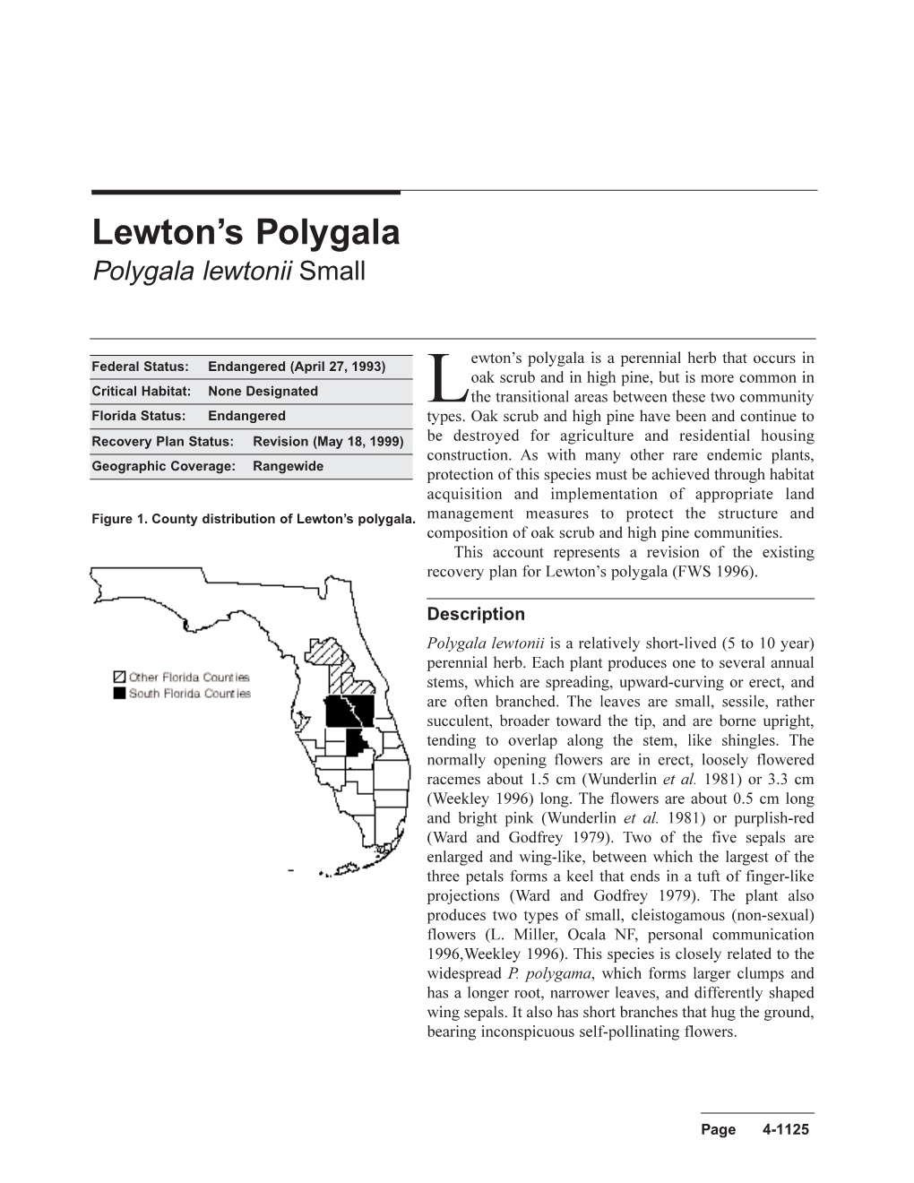 Lewton's Polygala Is a Perennial Herb That Occurs In