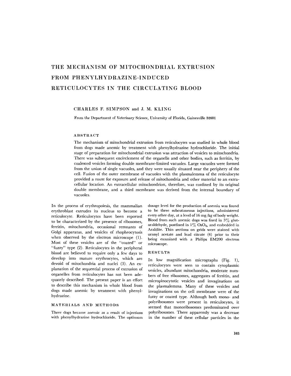 The Mechanism of Mitochondrial Extrusion from Phenylhydrazine-Induced Reticulocytes in the Circulating Blood