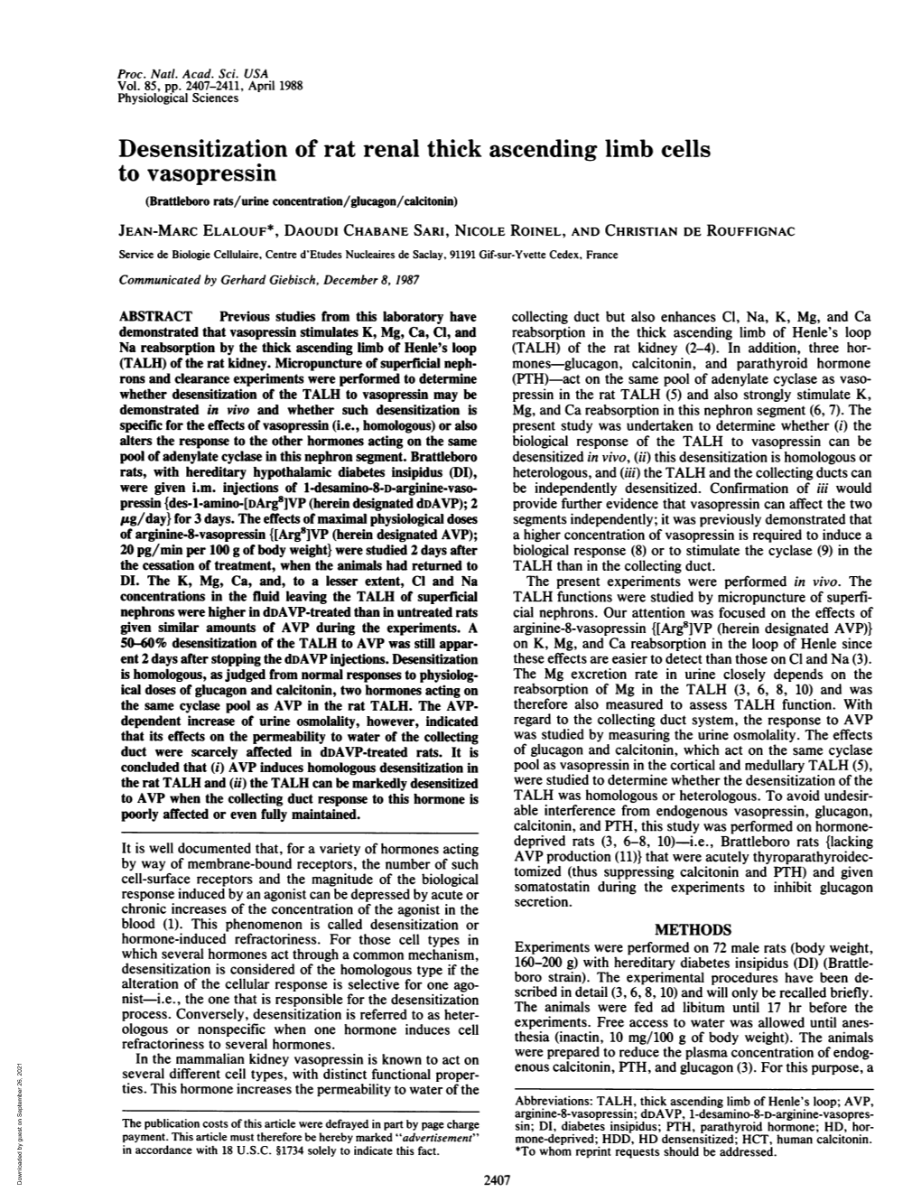 Desensitization of Rat Renal Thick Ascending Limb Cells to Vasopressin