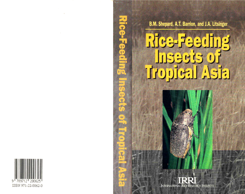 Rice-Feeding Insects of Tropical Asia
