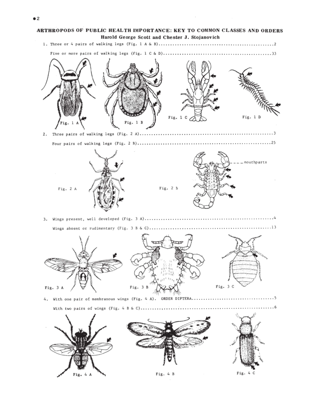 Pictorial Keys