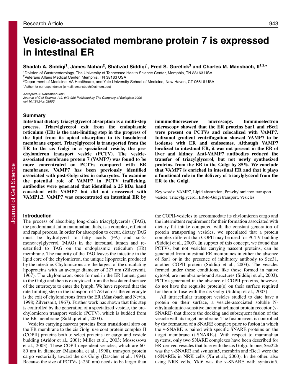 Vesicle-Associated Membrane Protein 7 Is Expressed in Intestinal ER