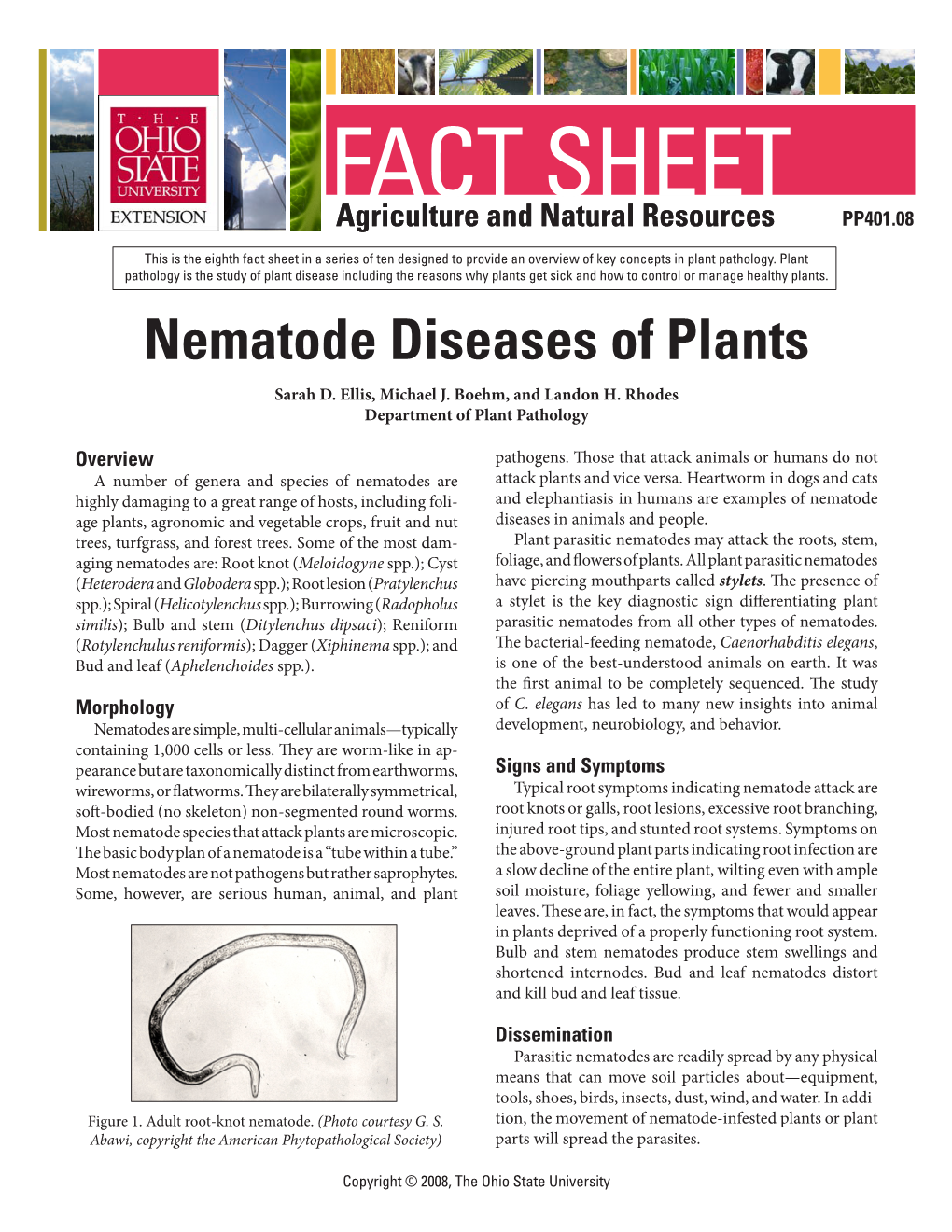 Nematode Diseases of Plants