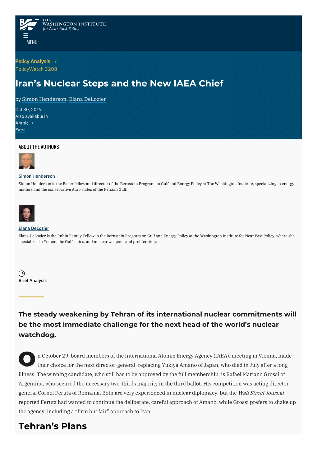 Iran's Nuclear Steps and the New IAEA Chief | the Washington Institute