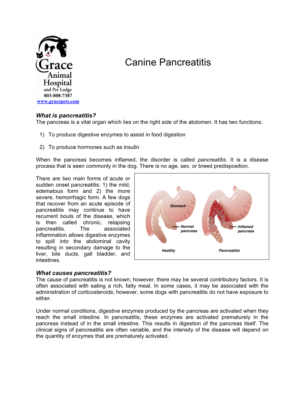 Canine Pancreatitis