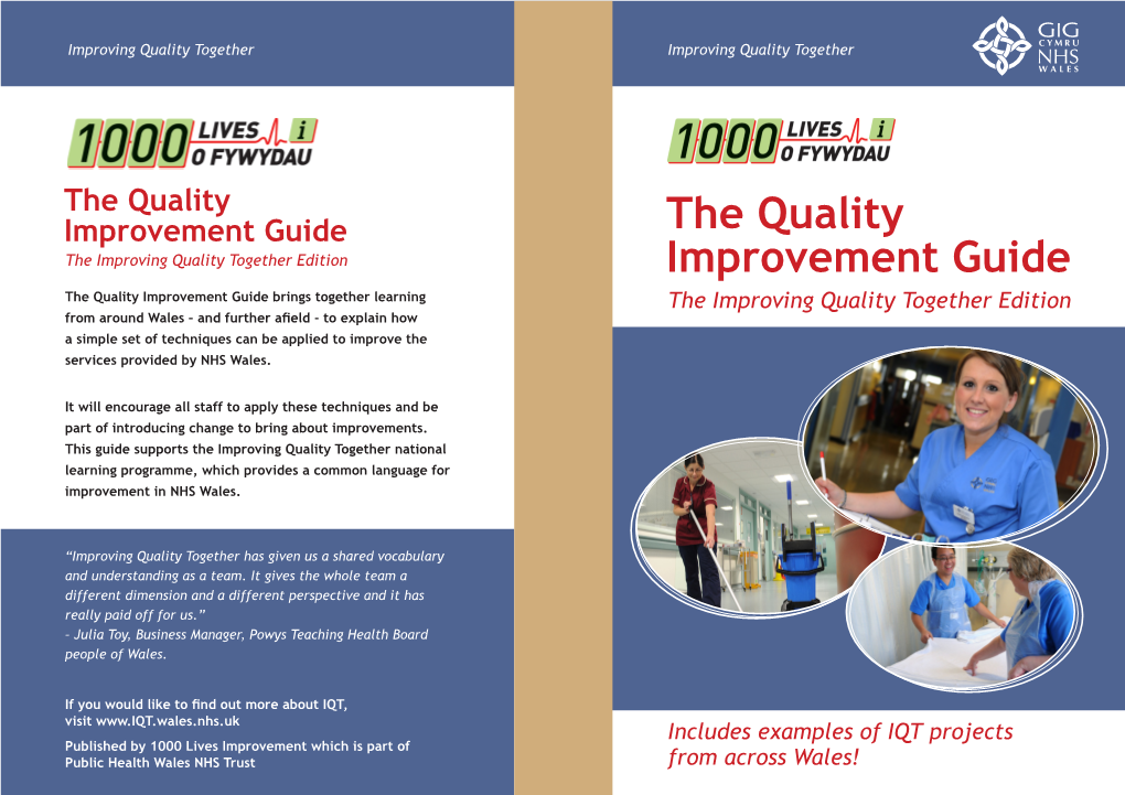 The Quality Improvement Guide