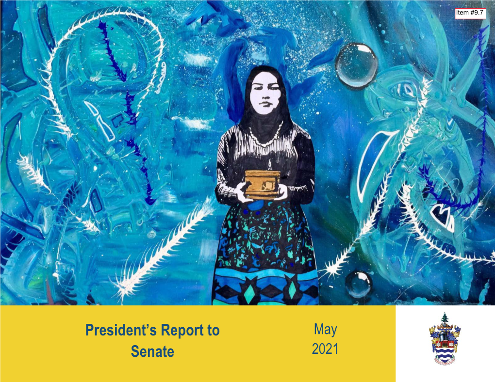 President's Report to Senate