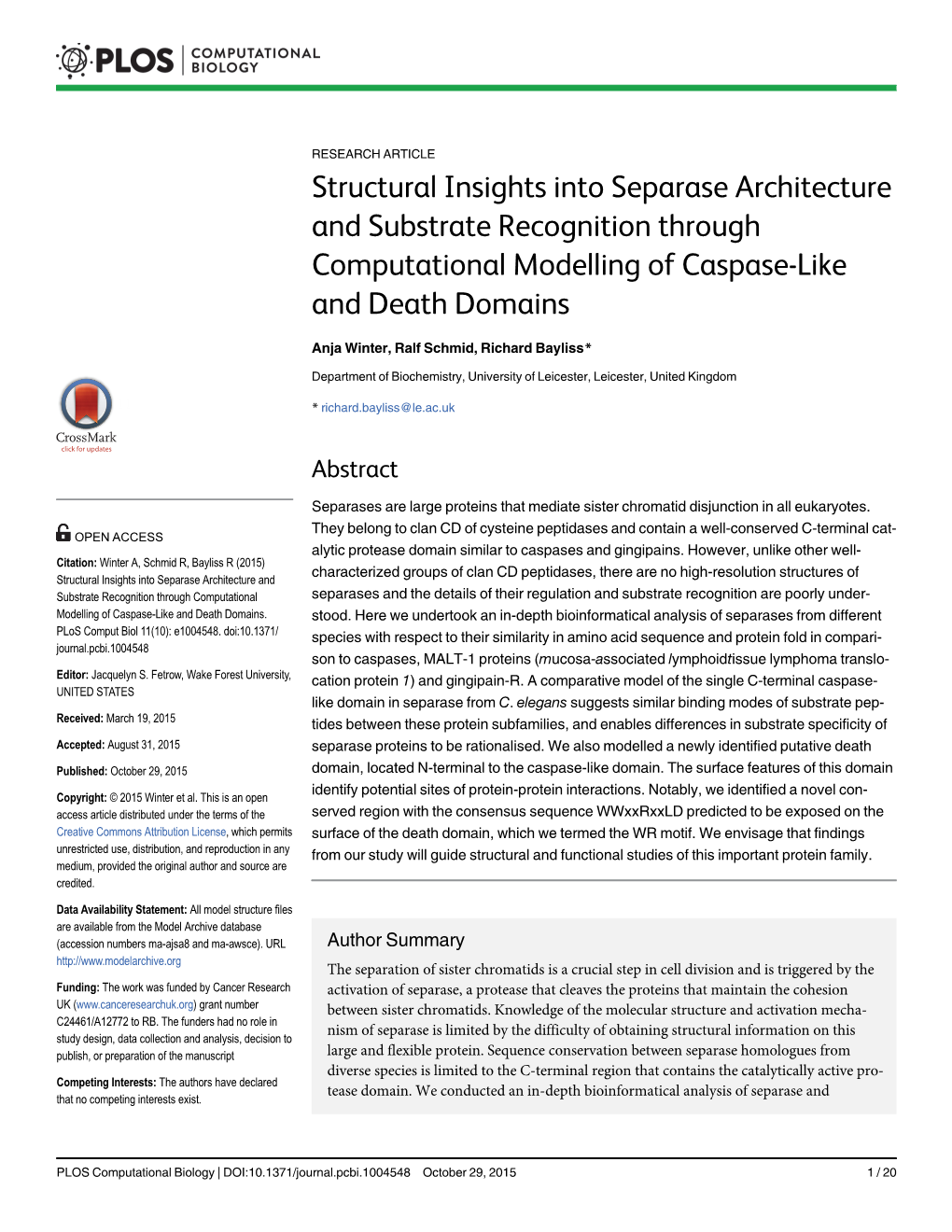 Structural Insights Into Separase Architecture and Substrate Recognition Through Computational Modelling of Caspase-Like and Death Domains