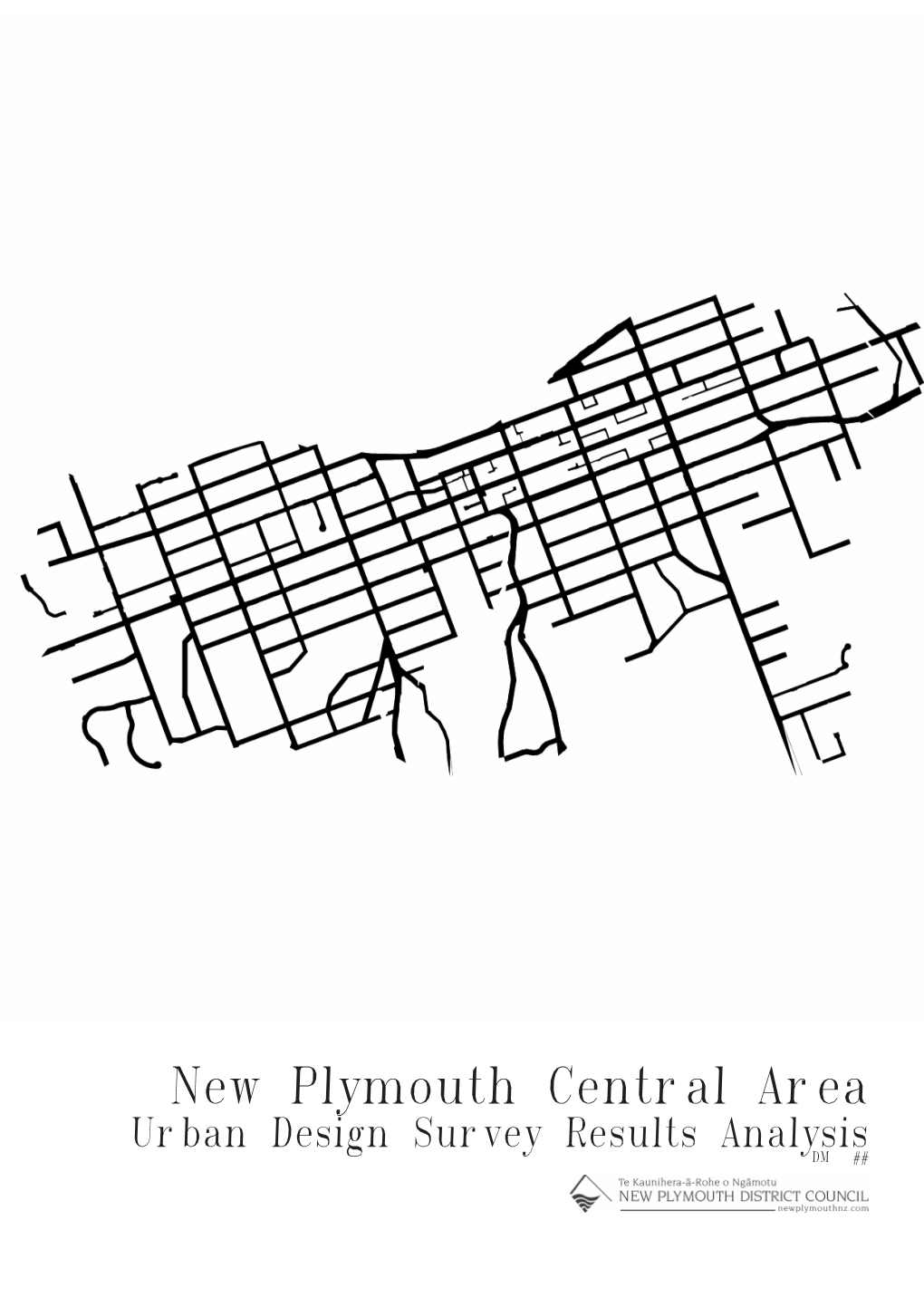 New Plymouth Central Area Urban Design Survey Results Analysis DM